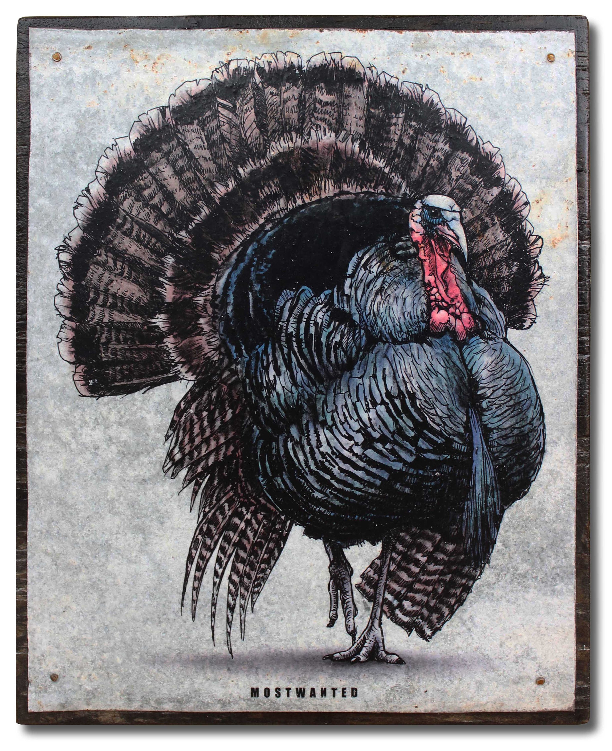 2447x3000 turkey, drawing, artwork transfer on metal, old rusty barn tin - Turkey Drawing Pictures