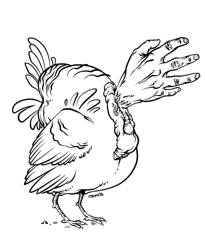 693x790 Body Outline Coloring - Turkey Drawing Pictures