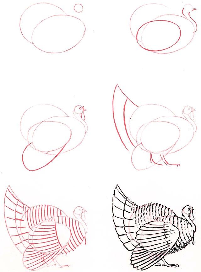 640x865 Learn To Draw Turkey Kids In Drawings, Art, Turkey Drawing - Turkey Drawing Pictures Kids