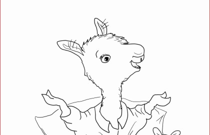 420x270 Coloring Turkey Pictures Beautiful Turkey Drawing Elegant Witch - Turkey Drawing Template