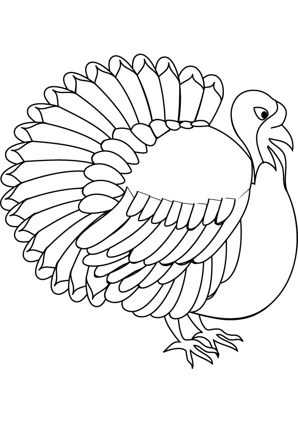 595x842 Turkey - Turkey Drawing To Color