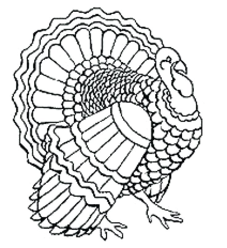 Turkey Drawing To Color at PaintingValley.com | Explore collection of ...