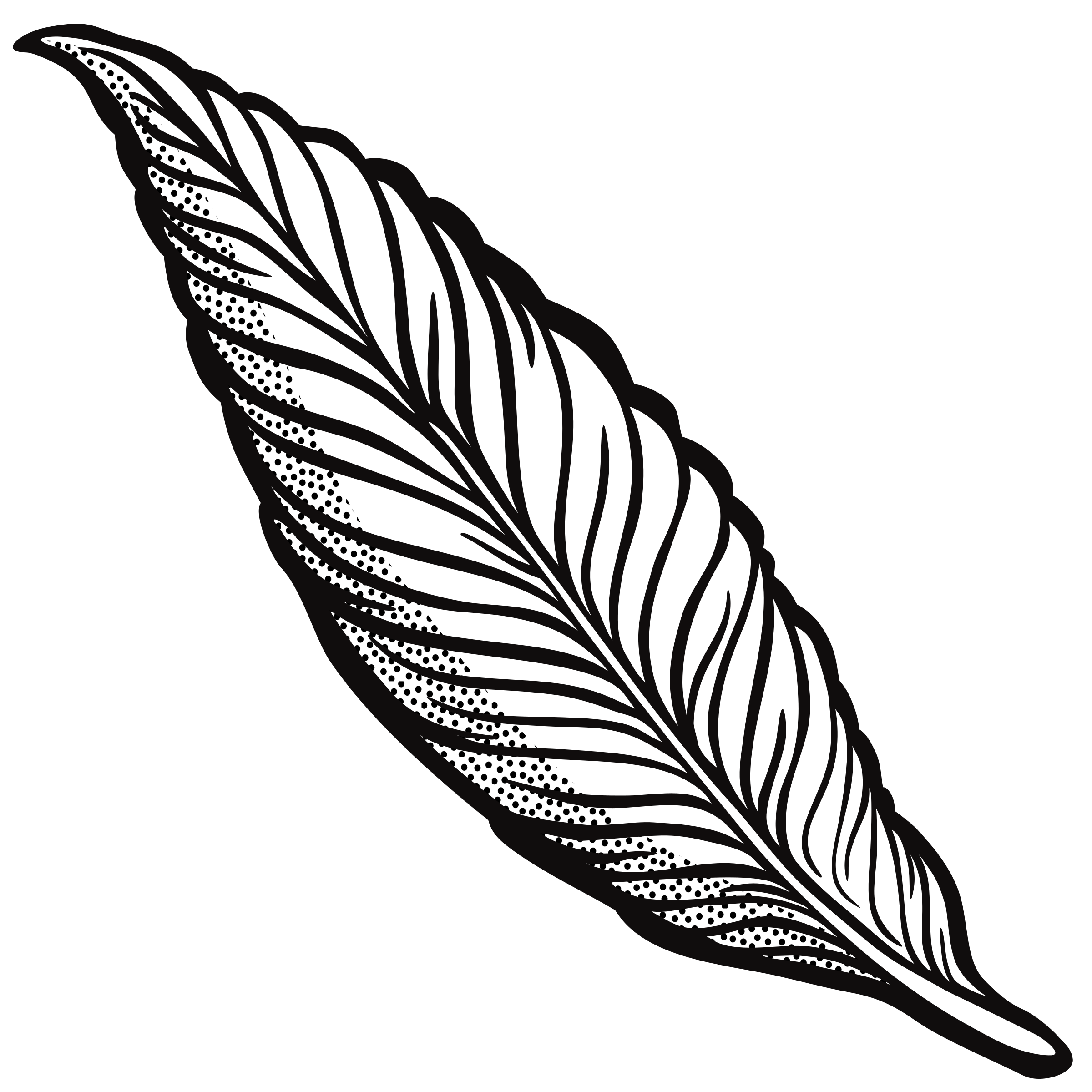 2400x2400 Hd Turkey Feathers Picture Freeuse - Turkey Feather Drawing