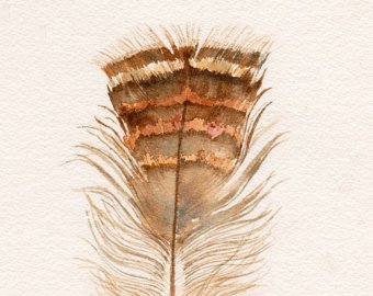 340x270 Turkey Feather Print Etsy - Turkey Feather Drawing