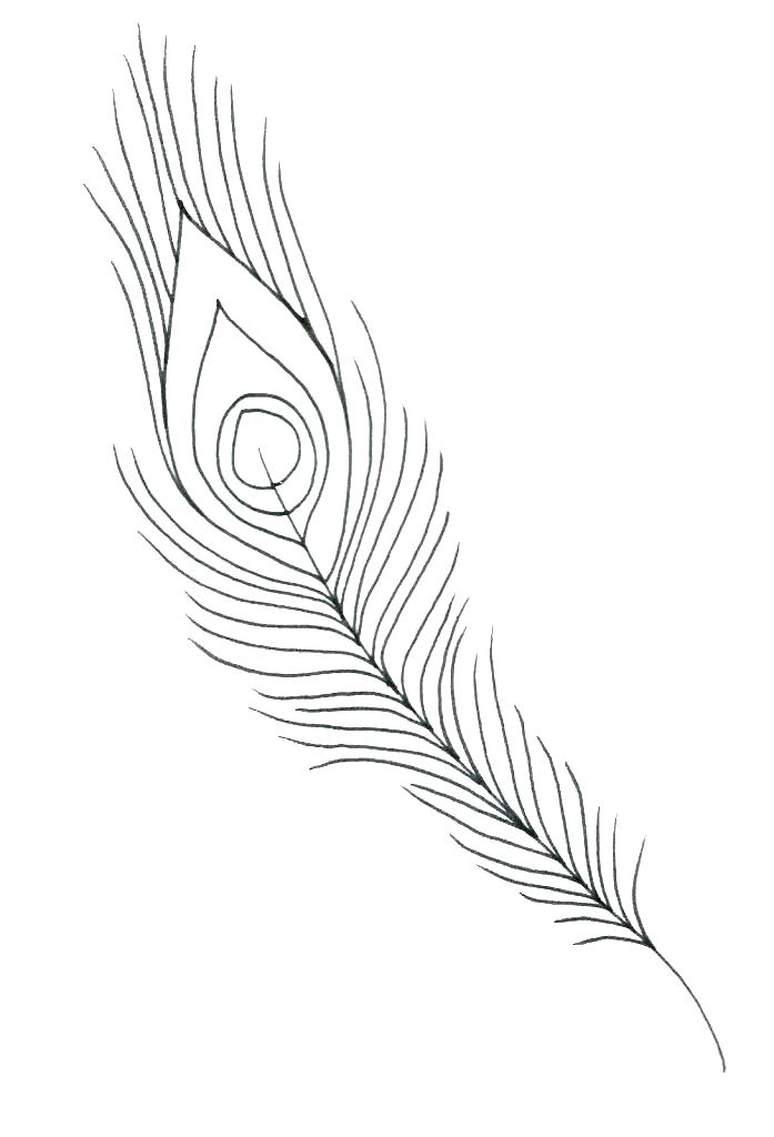 697x1024 Feathers Coloring - Turkey Feather Drawing
