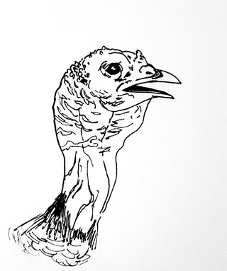 320x383 Turkey! - Turkey Head Drawing