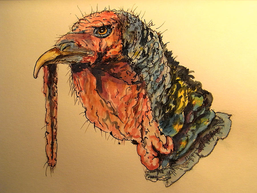 900x675 Turkey Head Bird Painting - Turkey Head Drawing