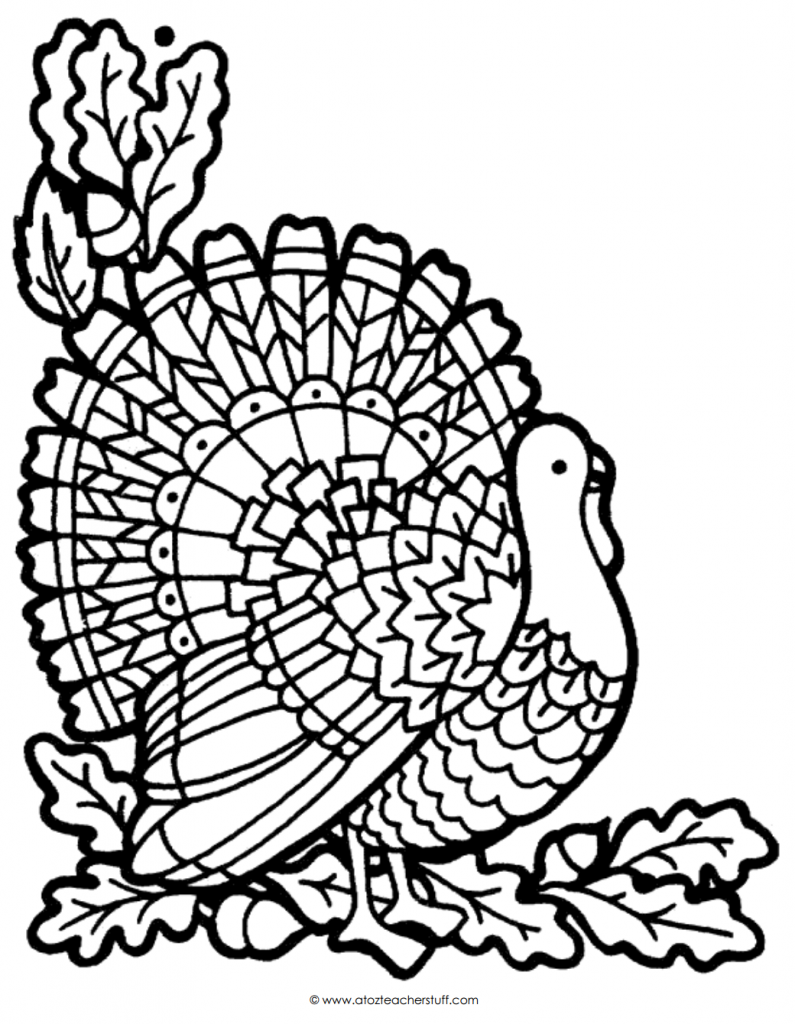 795x1024 Turkey Head Drawing At Getdrawings Com Free For Personal Use - Turkey Head Drawing