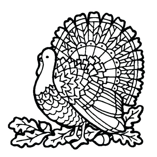 600x600 Turkey Head Drawing - Turkey Head Drawing