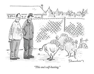 300x239 Turkey Head Drawings Fine Art America - Turkey Head Drawing