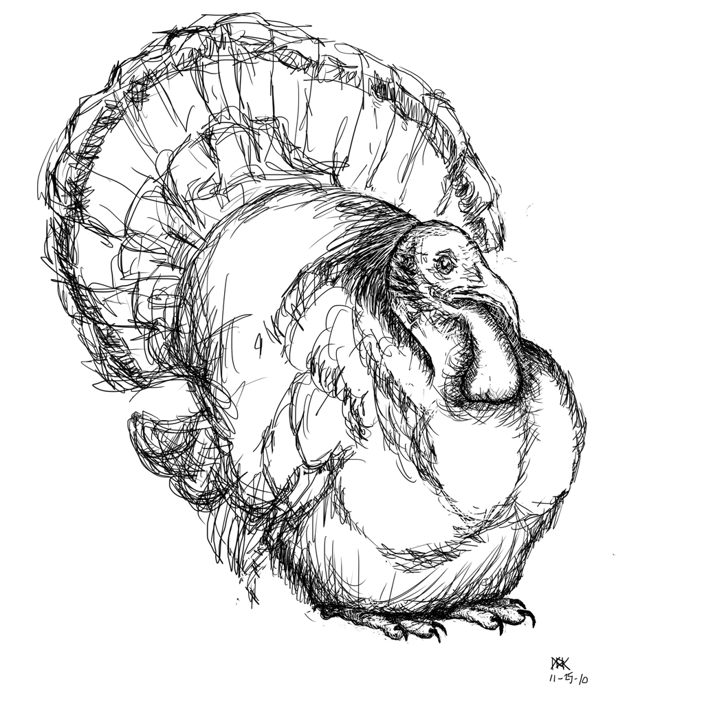Turkey Head Drawing at Explore collection of