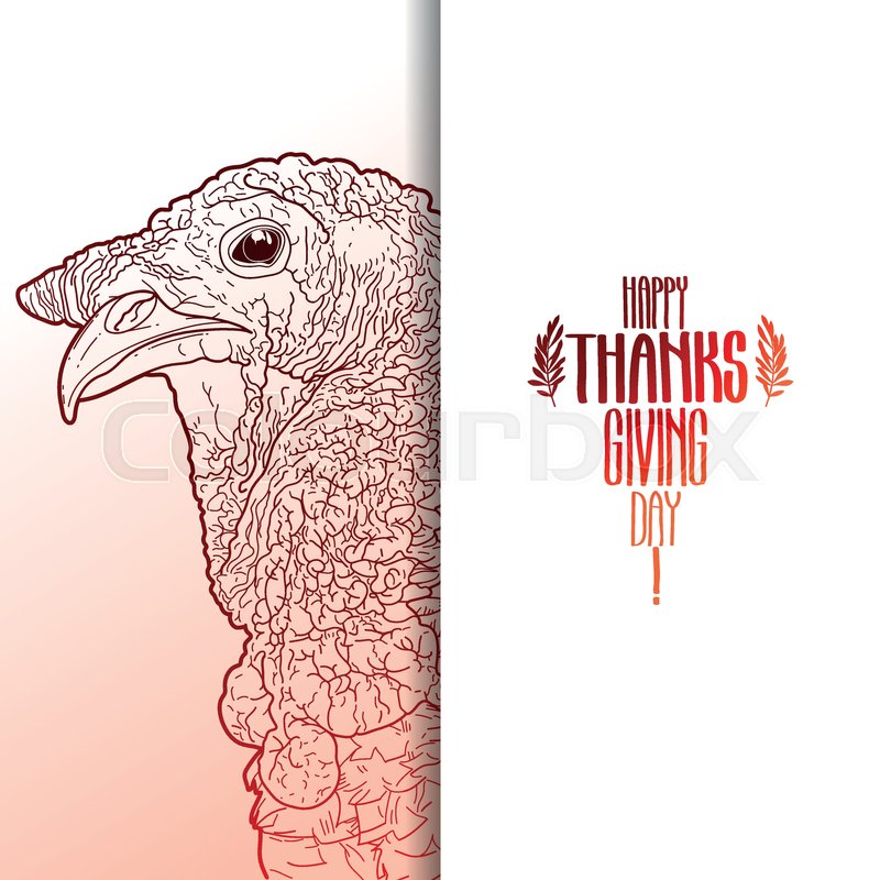 800x800 Graphic Design With Turkey Head Drawn Stock Vector Colourbox - Turkey Head Drawing
