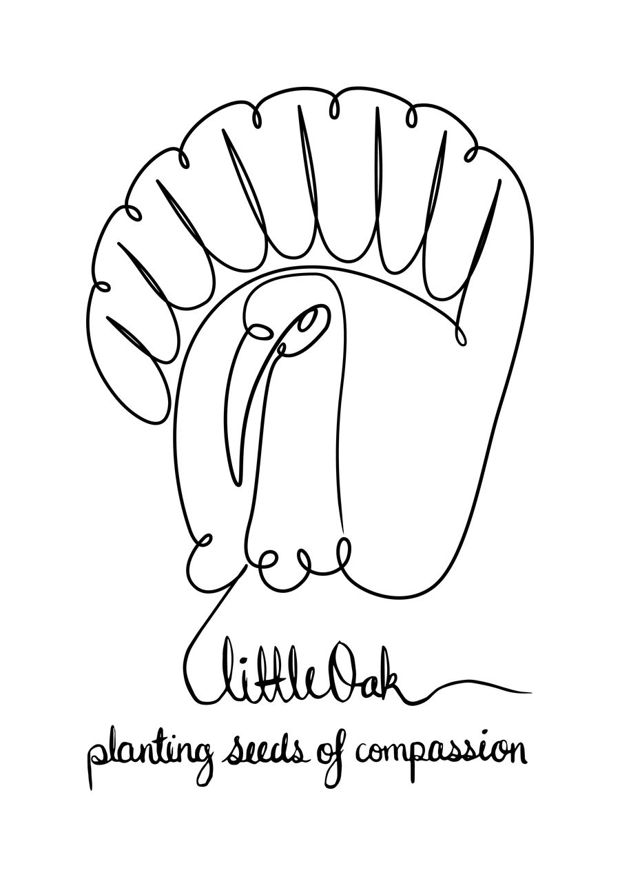 900x1272 Entry - Turkey Line Drawing