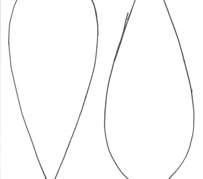 678x600 Turkey Outline Coloring - Turkey Outline Drawing