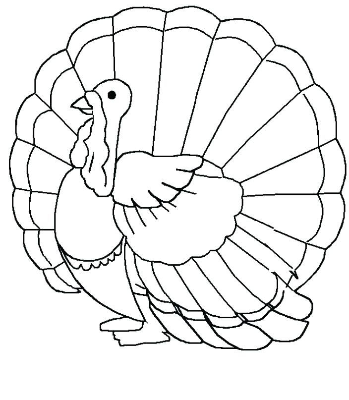 Turkey Outline Drawing at PaintingValley.com | Explore collection of ...