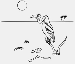 260x220 download buzzard drawing clipart turkey vulture bird clip art - Turkey Vulture Drawing