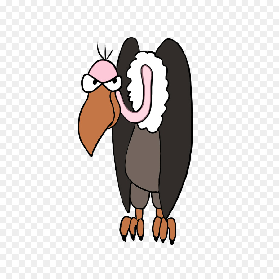 900x900 clip art beaky buzzard drawing portable network graphics image - Turkey Vulture Drawing