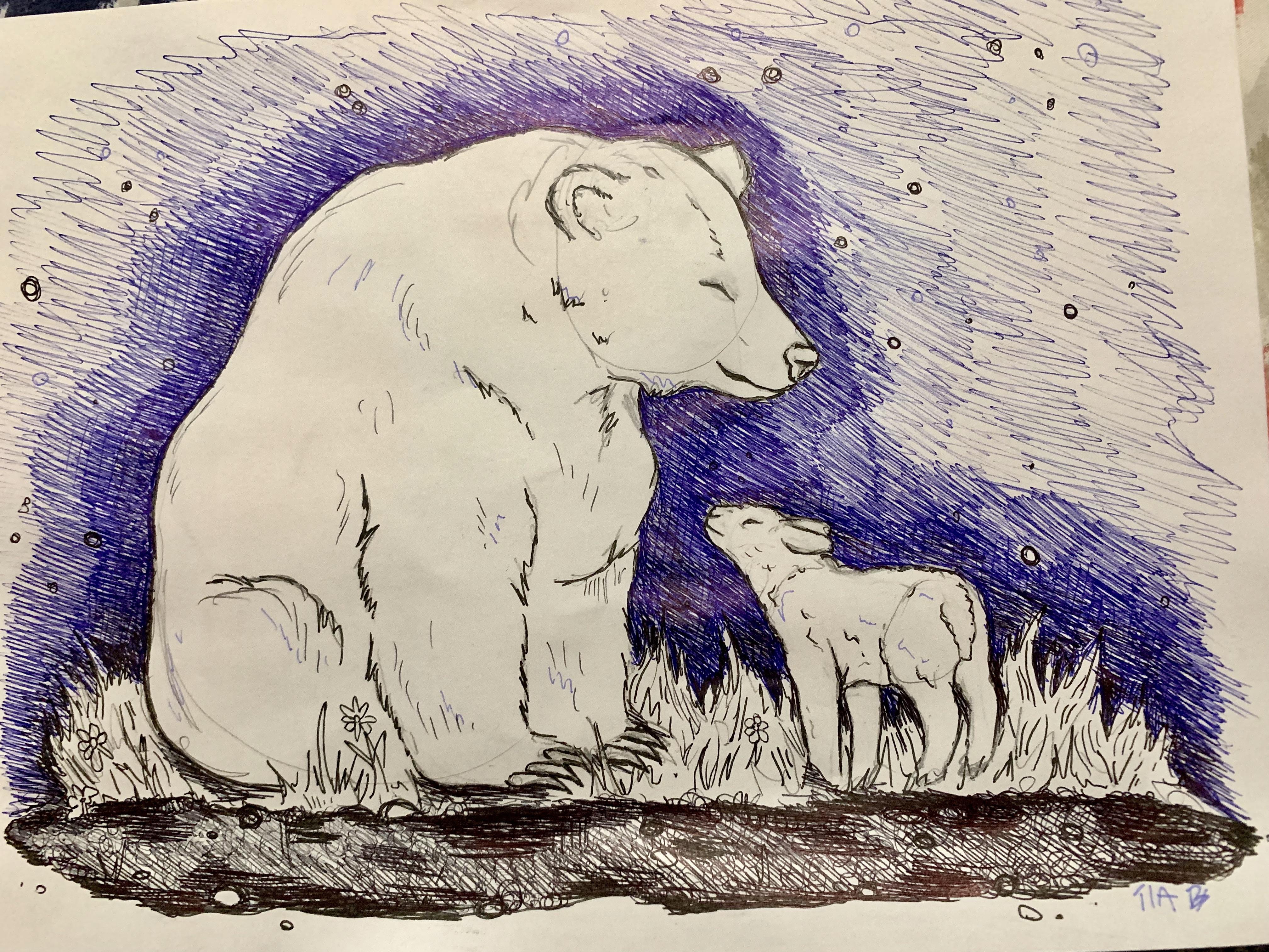 4032x3024 i'm going to turn my work drawing of a bear and a lamb into - Turn My Photo Into A Drawing