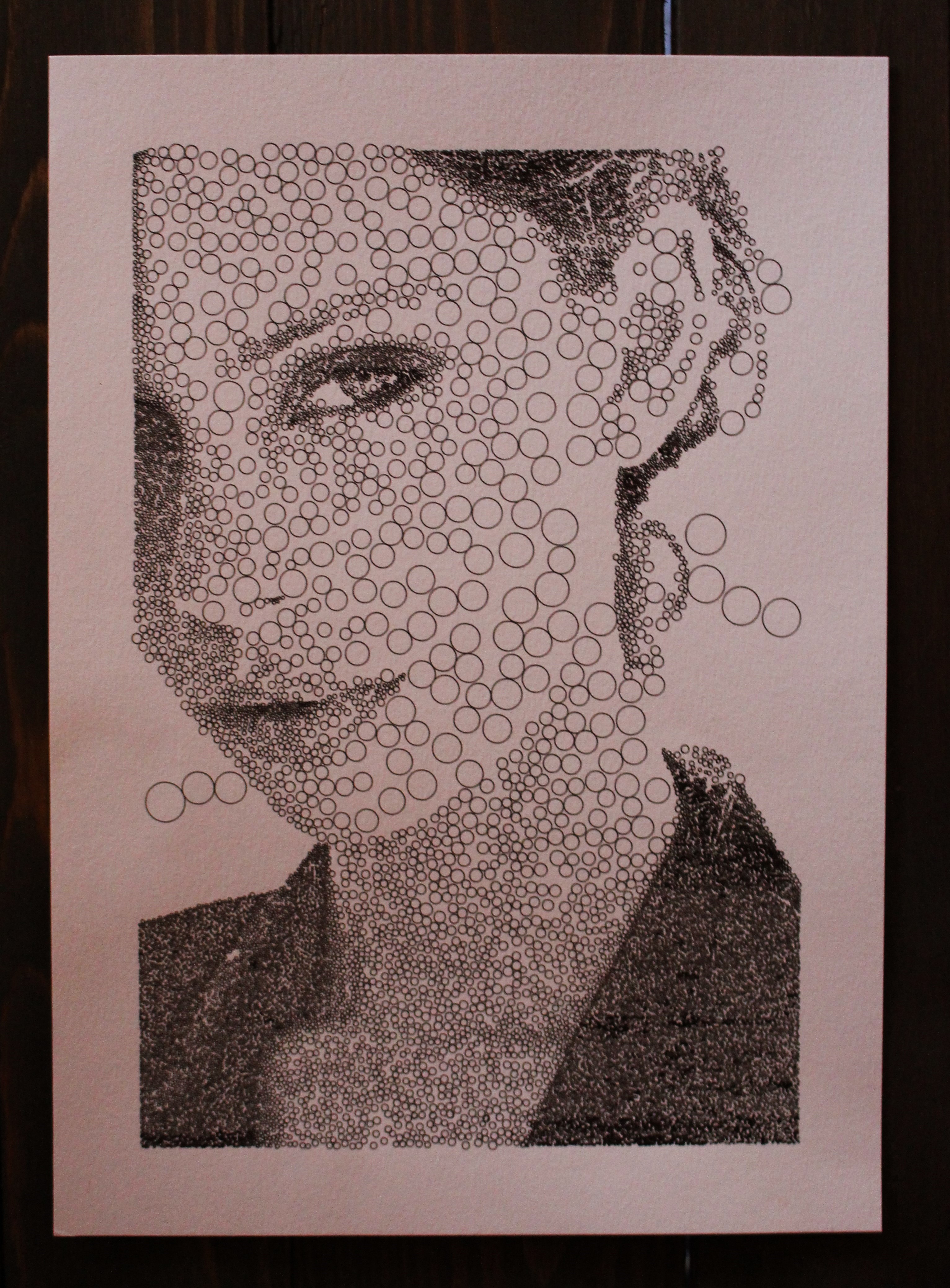 3065x4158 oc plotter drawings made entirely with circles or triangles - Turn My Photo Into A Drawing