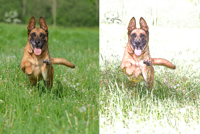 650x435 how to turn photos into colored pencil drawings in gimp - Turn Photo Into Pencil Drawing