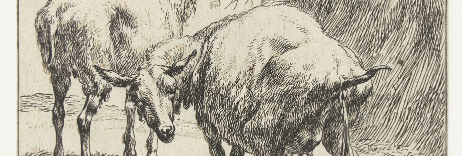 923x313 Jane Turner Interviewed - Turner Drawings