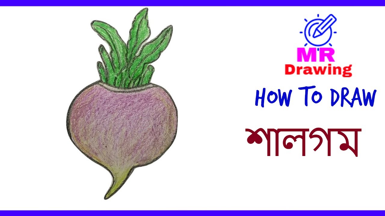 1280x720 how to draw a turnip step - Turnip Drawing
