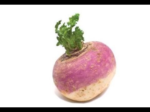 480x360 how to draw turnip for kids - Turnip Drawing