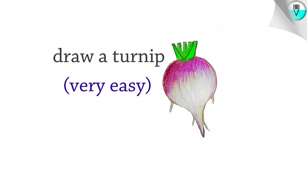 1280x720 how to draw a turnip step - Turnip Drawing