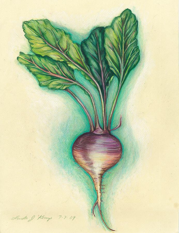 692x900 turnip drawing - Turnip Drawing