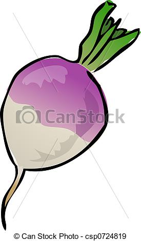 275x470 turnip sketch of a turnip hand drawn lineart look illustration - Turnip Drawing