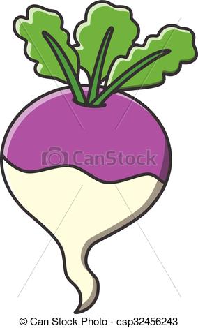 284x470 turnip - Turnip Drawing
