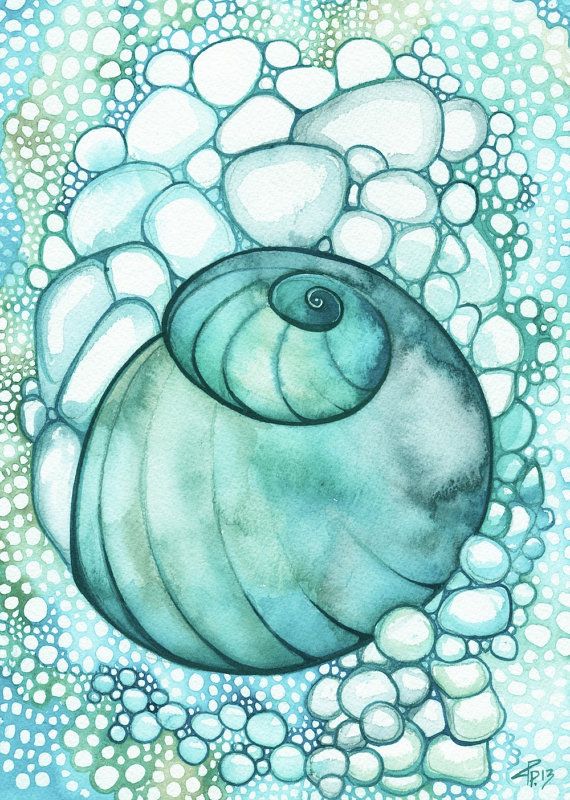 570x800 Prints Sea Shell Set In Turquoise Four - Turquoise Drawing