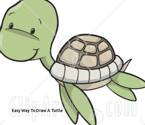 491x422 easy way to draw a turtle sea turtle cartoon drawing - Turtle Cartoon Drawing