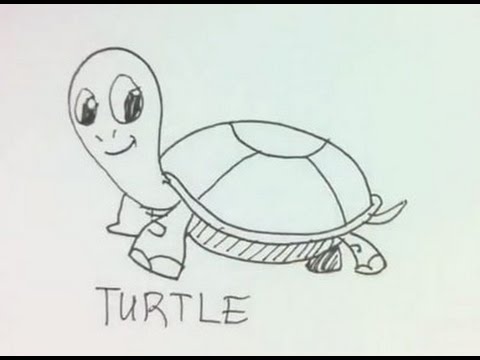 480x360 How To Draw A Cartoon Turtle - Turtle Cartoon Drawing