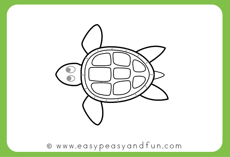 797x543 How To Draw A Turtle - Turtle Cartoon Drawing