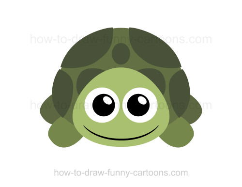 500x386 How To Draw A Turtle - Turtle Cartoon Drawing