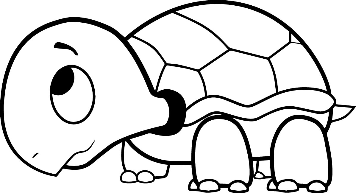 1196x648 Sea Turtle Coloring - Turtle Cartoon Drawing