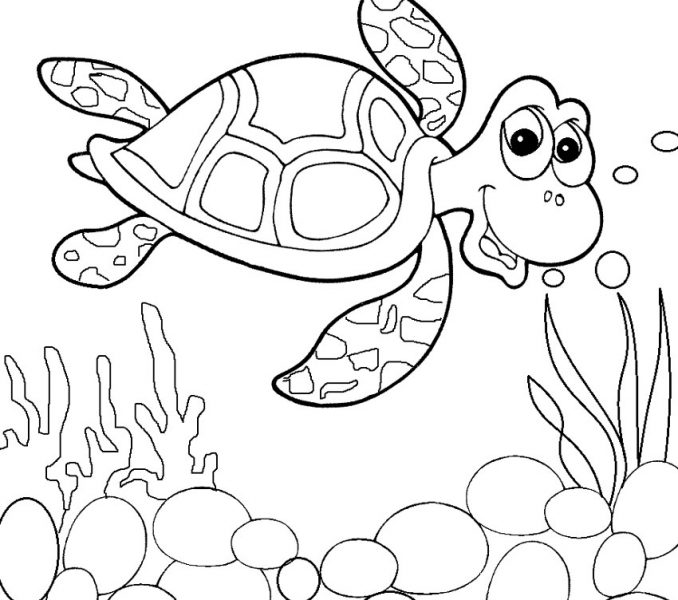 678x600 Sea Turtles Coloring Pages Painted Turtle Coloring - Turtle Cartoon Drawing