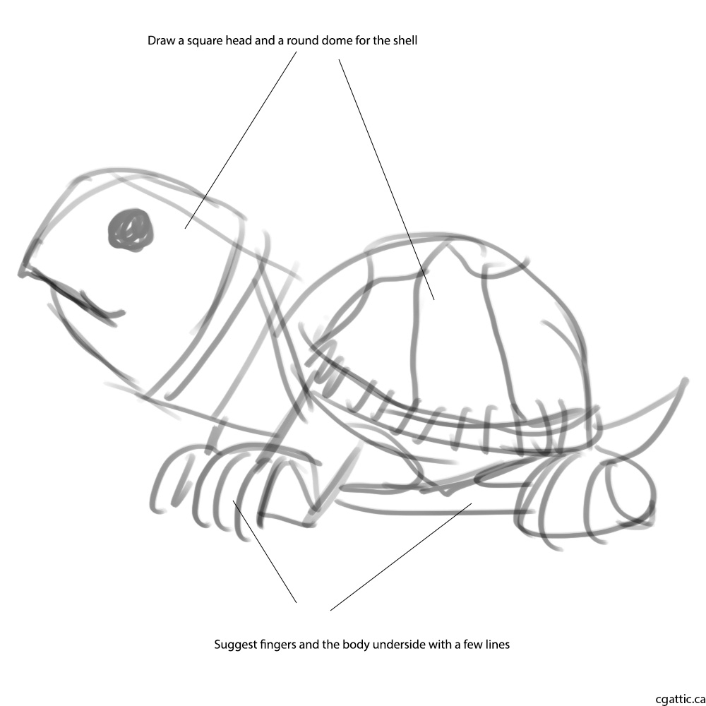 1000x1000 Turtle Cartoon Drawing In Steps With Photoshop - Turtle Cartoon Drawing
