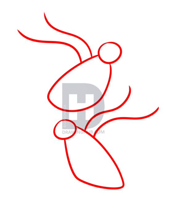 547x720 How To Draw Turtle Doves, Step - Turtle Dove Drawing