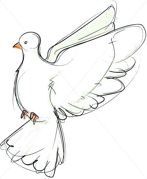 504x612 New Inspirational Turtle Dove Template Printable Honeymoonisland - Turtle Dove Drawing