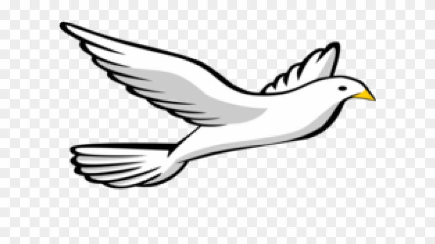 880x494 Turtle Dove Clipart Drawing - Turtle Dove Drawing