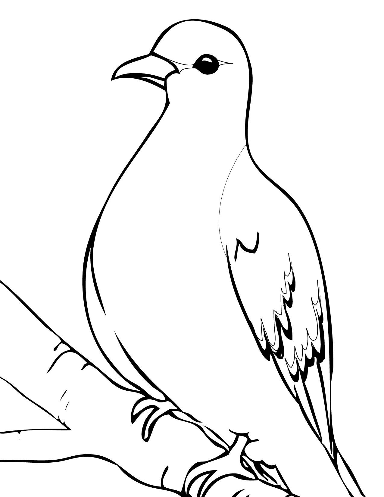 1275x1650 Dove Coloring - Turtle Dove Drawing
