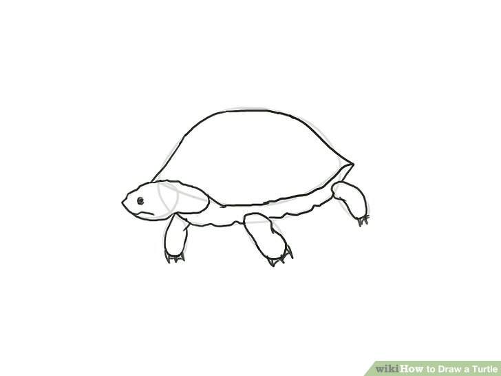 Turtle как рисовать