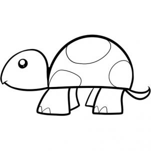302x302 How To Draw How To Draw A Turtle For Kids - Turtle Drawing