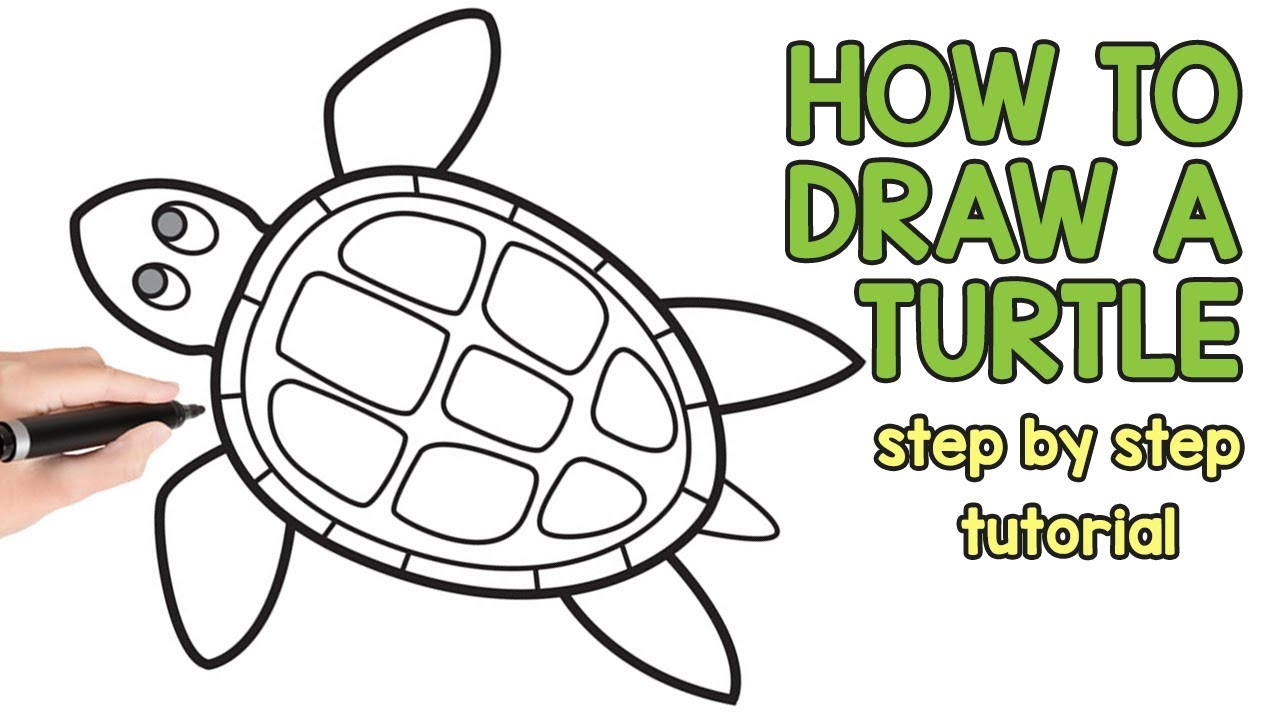1280x720 How To Draw A Turtle - Turtle Drawing