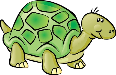 400x260 How To Draw A Turtle Howstuffworks - Turtle Drawing