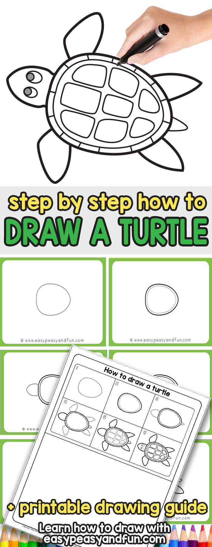 700x1800 How To Draw A Turtle - Turtle Drawing Easy