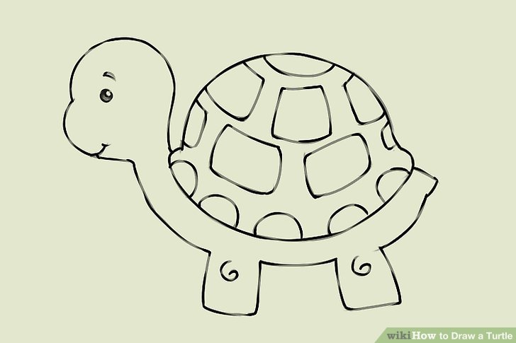 728x485 Ways To Draw A Turtle - Turtle Drawing Easy