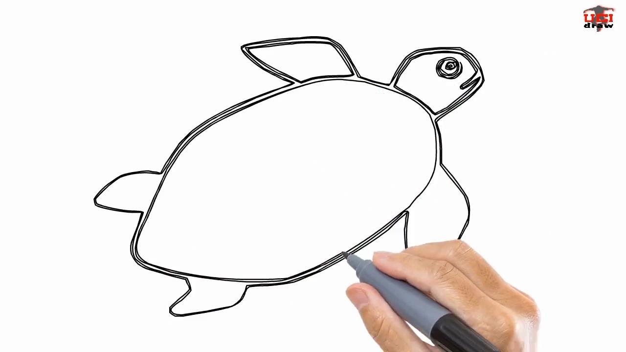 1280x720 How To Draw A Turtle Easy Drawing Step - Turtle Drawing Easy